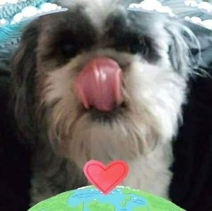 Meet your Posher, Phyllis